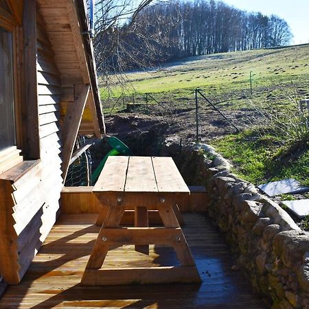 "La Vieille Grange", Au Coeur De La Nature Laveline-du-Houx Экстерьер фото